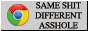 Google Chrome, Internet Explorer: Same Shit Different Asshole